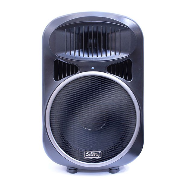 ساب ووفر اکتیو ساندکینگ Soundking PS 0115 SA