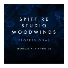 قیمت خرید فروش وی اس تی Spitfire Audio Spitfire Audio Studio Woodwinds Professional