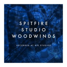 قیمت خرید فروش وی اس تی Spitfire Audio Spitfire Audio Studio Woodwinds