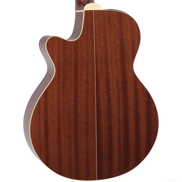 گیتار آکوستیک تاکامین Takamine EG260C-BSB