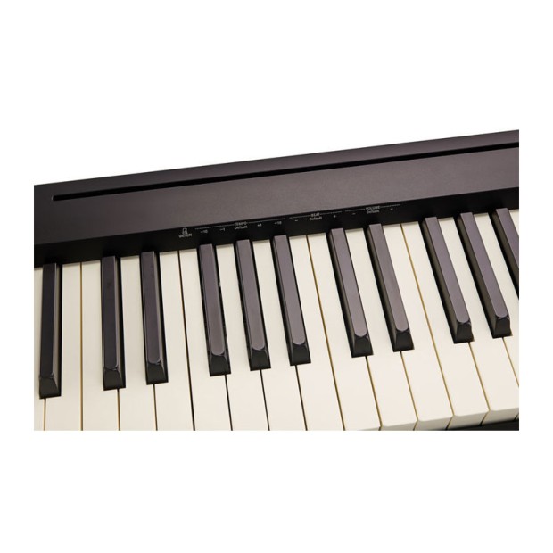 پیانو دیجیتال رولند Roland FP-10