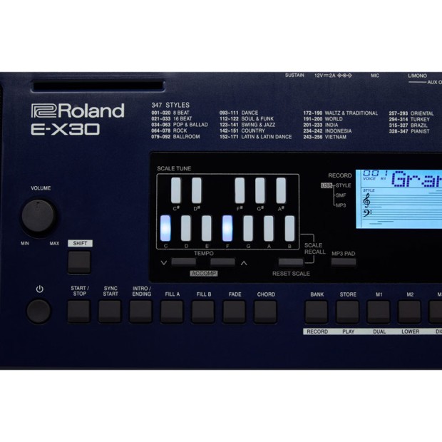کیبورد ارنجر موسیقی رولند Roland E-X30