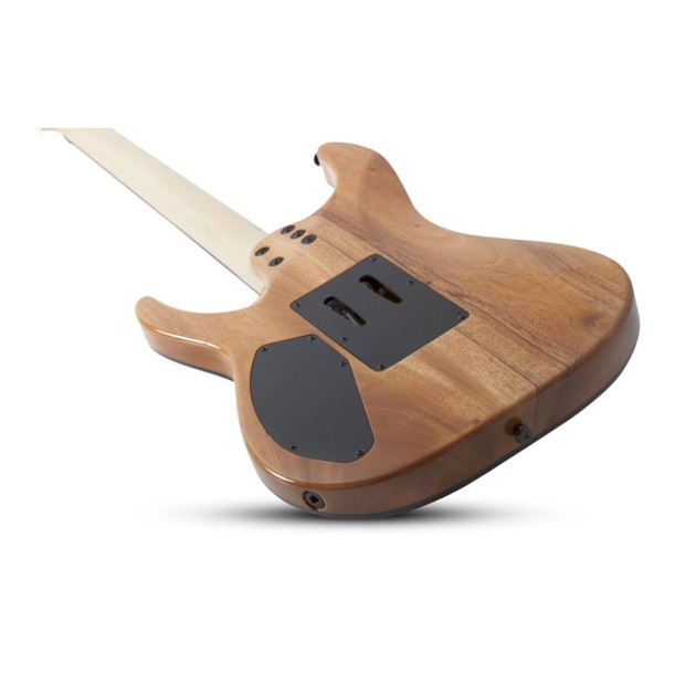 گیتار الکتریک شکتر Schecter C 6 FR Pro Aqua Burst