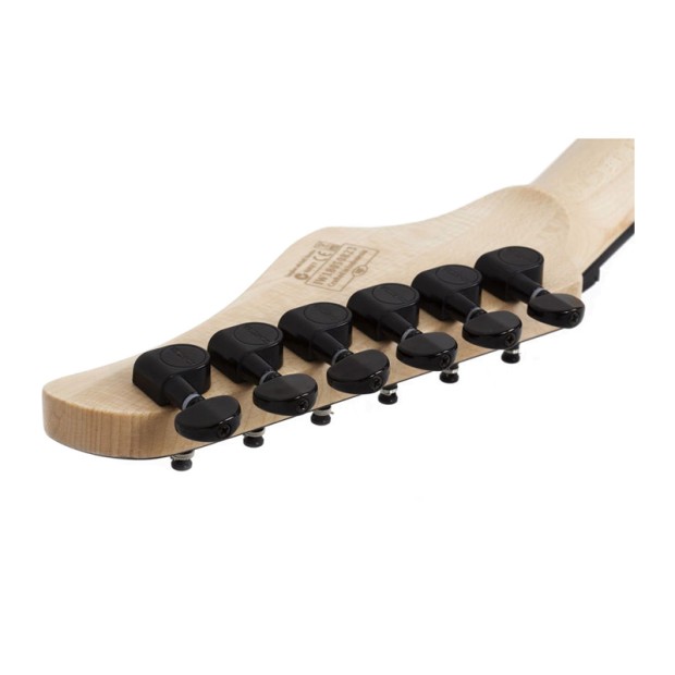 گیتار الکتریک شکتر Schecter C 6 FR Pro Aqua Burst