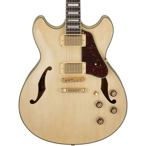 گیتار الکتریک آیبانز IBANEZ AS73G NT