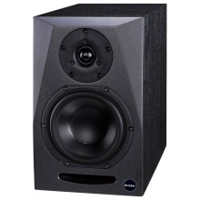 قیمت خرید فروش اسپیکر مانیتورینگ آیکن Icon PX-T5A G2