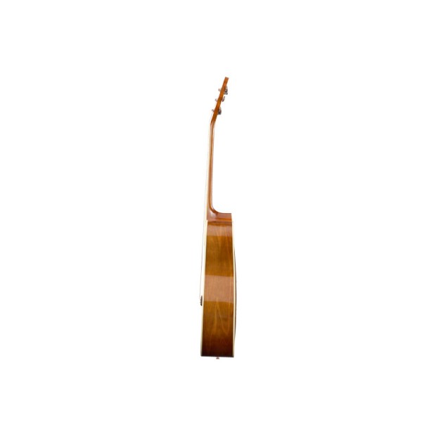 گیتار آکوستیک هافنر Hofner HAS-D01