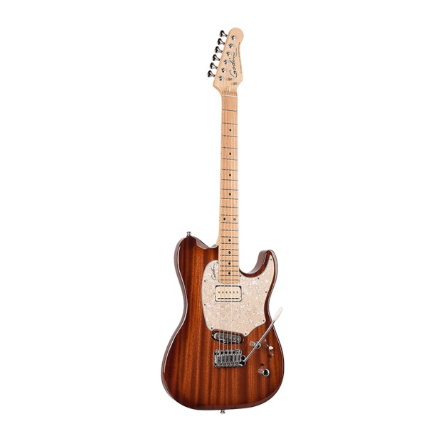 گیتار الکتریک گودین Godin Passion Custom Whiskey BST