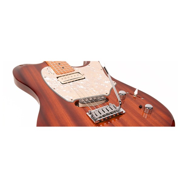 گیتار الکتریک گودین Godin Passion Custom Whiskey BST