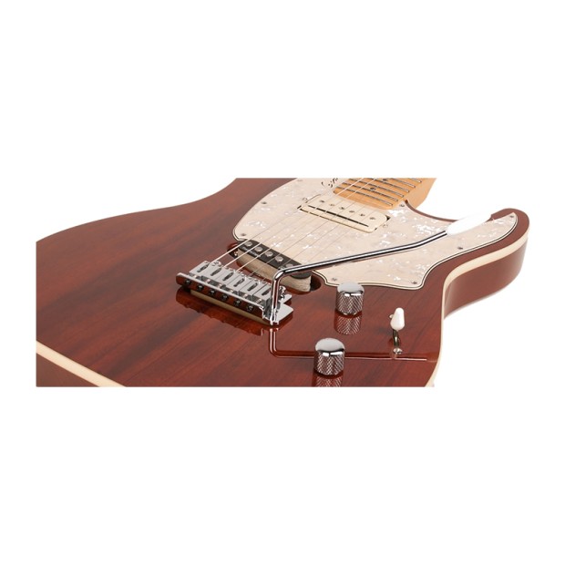 گیتار الکتریک گودین Godin Session Custom Classic LTD HG MN