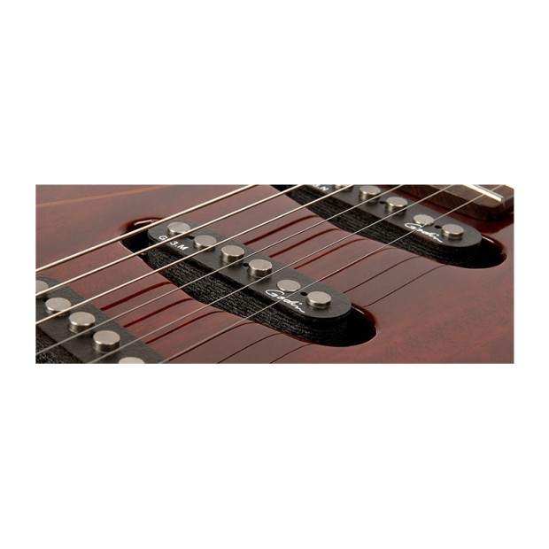 گیتار الکتریک گودین Godin Passion RG3