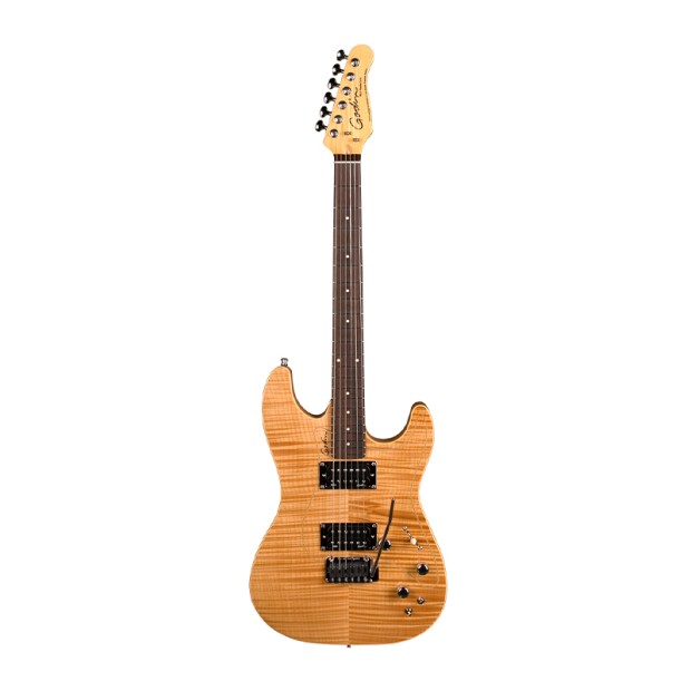 گیتار الکتریک گودین Godin Passion RG2