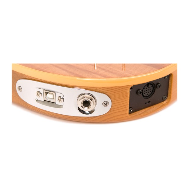 گیتار الکتریک گودین Godin Passion RG2