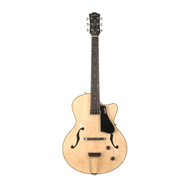 گیتار الکتریک گودین Godin 5TH Avenue Jazz