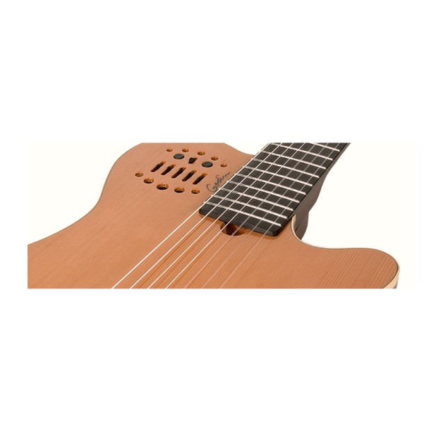 گیتار آکوستیک گودین Godin Multiac Grand Concert 7 HG