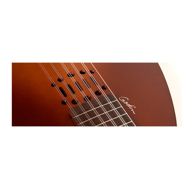 عود گودین Godin Inuk Encore Steel