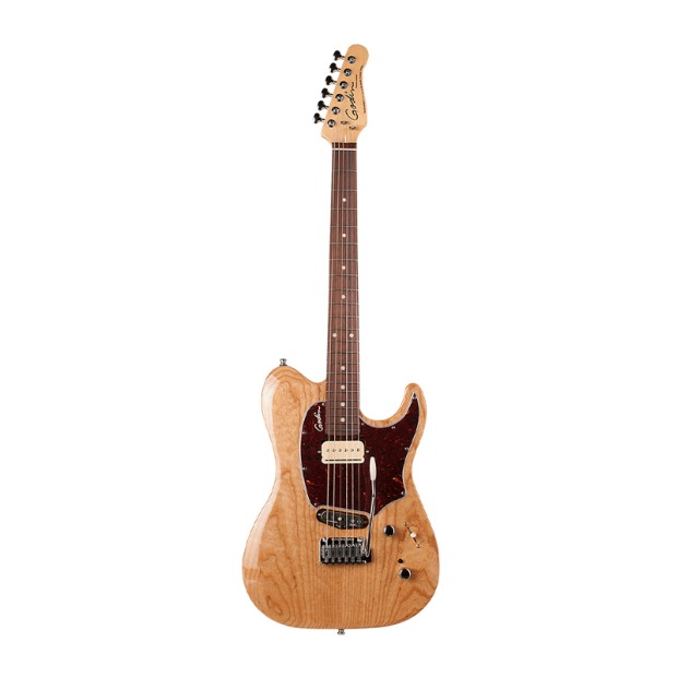 گیتار الکتریک گودین Godin Passion Custom Swamp ASH RN