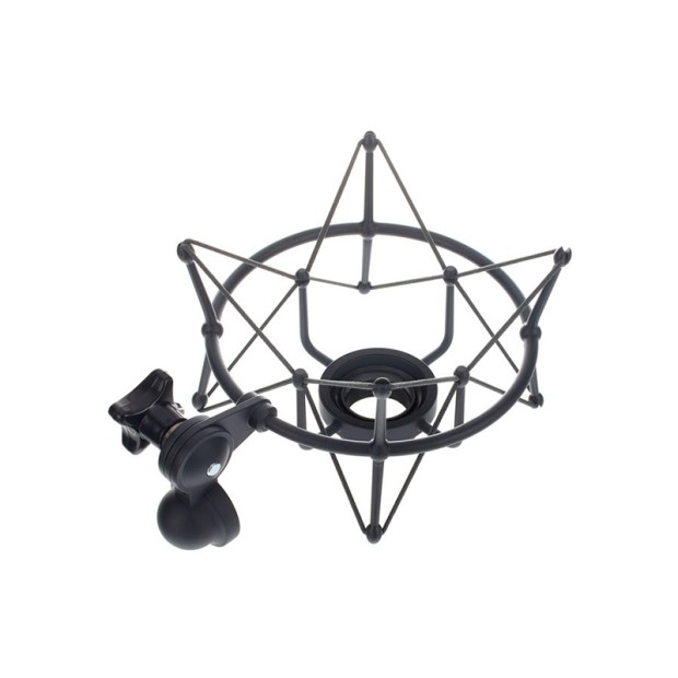 لرزه گیر میکروفن نیومن Neumann EA 1 MT