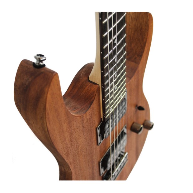 گیتار الکتریک آیبانز IBANEZ RG421 MOL