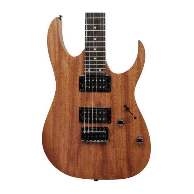 گیتار الکتریک آیبانز IBANEZ RG421 MOL