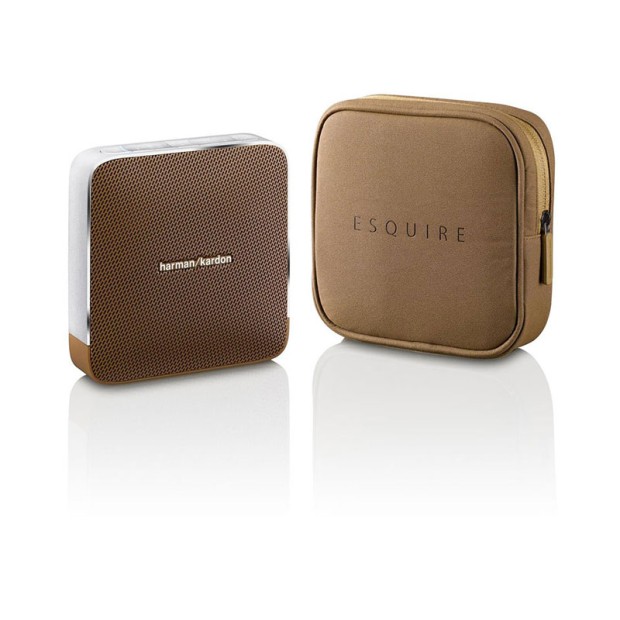 اسپیکر پرتابل هارمن کاردن Harman Kardon Esquire Brown