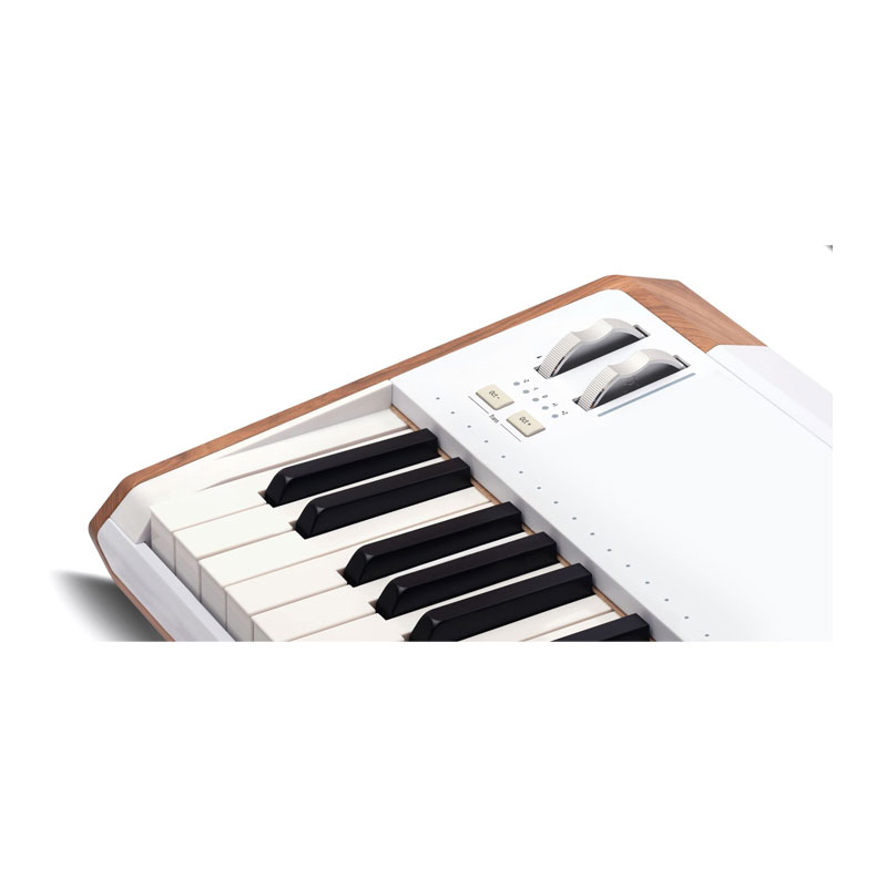 سینتی سایزر آرتوریا Arturia AstroLab 61 White