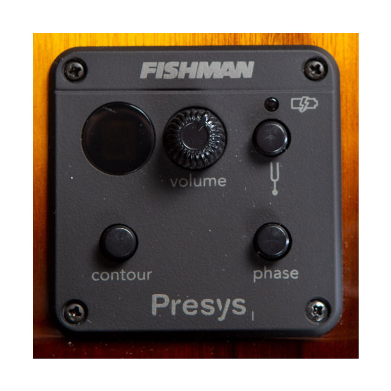 گیتار آکوستیک بریدلاو Breedlove Pursuit Exotic S Dreadnought Concerto Tigers Eye CE PSCO42CEMYMY