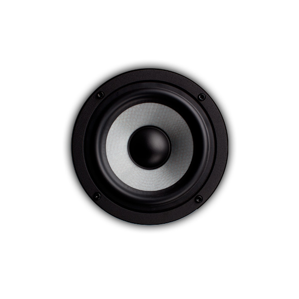 اسپیکر مانیتورینگ EVE EVE SC205