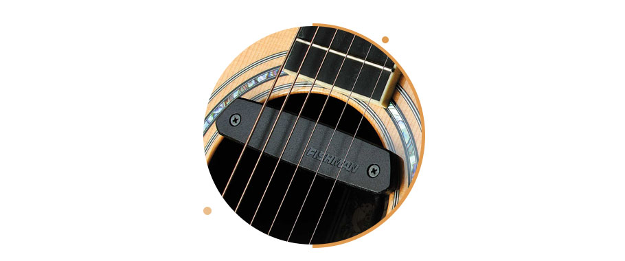 پیکاپ Fishman Pro-Neo-D01