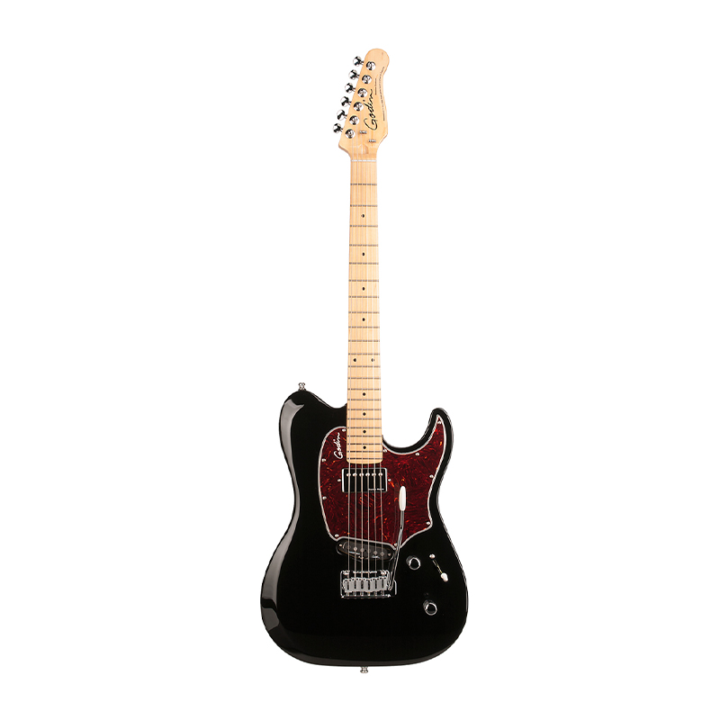 قیمت خرید فروش گیتار الکتریک گودین Godin Session Custom 59 Black HG
