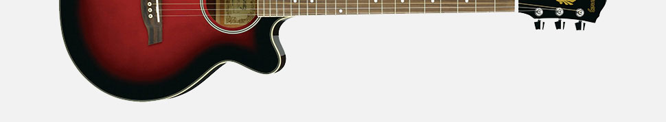 IBANEZ AEG8E TRS گیتار آکوستیک