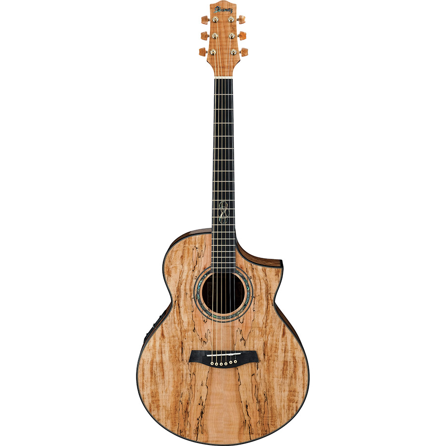قیمت خرید فروش گیتار آکوستیک آیبانز IBANEZ EW50 SME