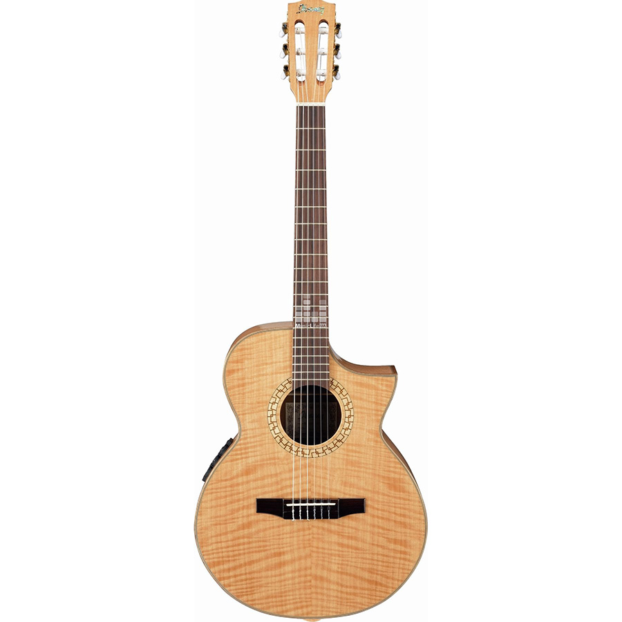 قیمت خرید فروش گیتار کلاسیک آیبانز IBANEZ EWN30SYE NT