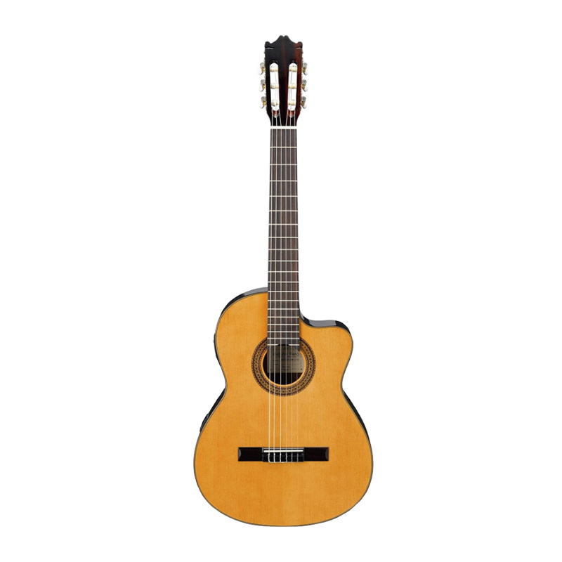 قیمت خرید فروش گیتار کلاسیک آیبانز IBANEZ G5ECE AM