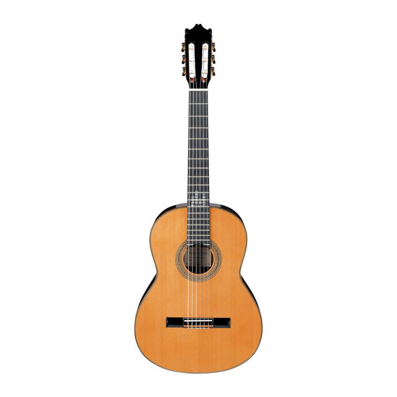 قیمت خرید فروش گیتار کلاسیک آیبانز IBANEZ G850 NT