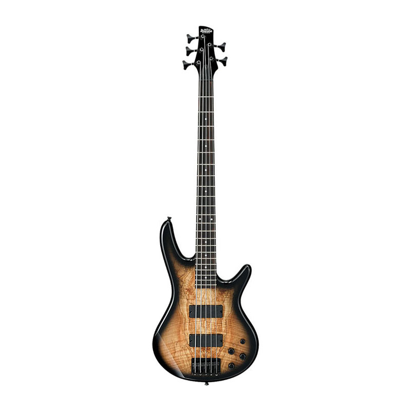قیمت خرید فروش گیتار بیس آیبانز Ibanez GSR205SM NGT