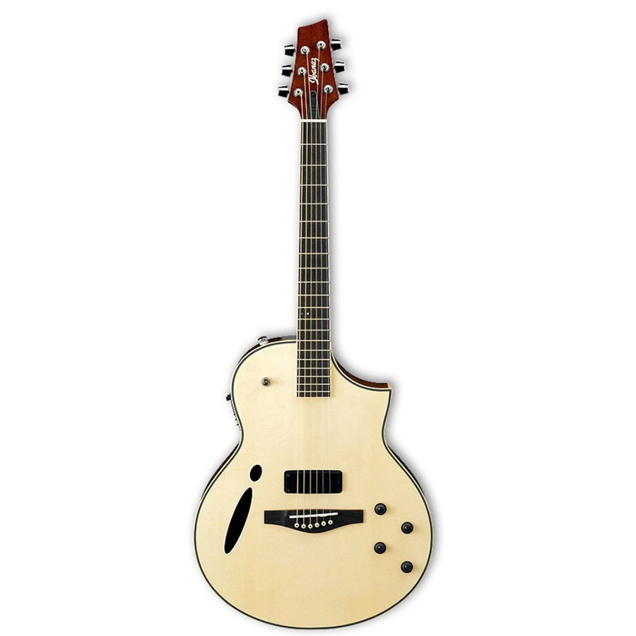 قیمت خرید فروش گیتار آکوستیک آیبانز IBANEZ MSC350 NT