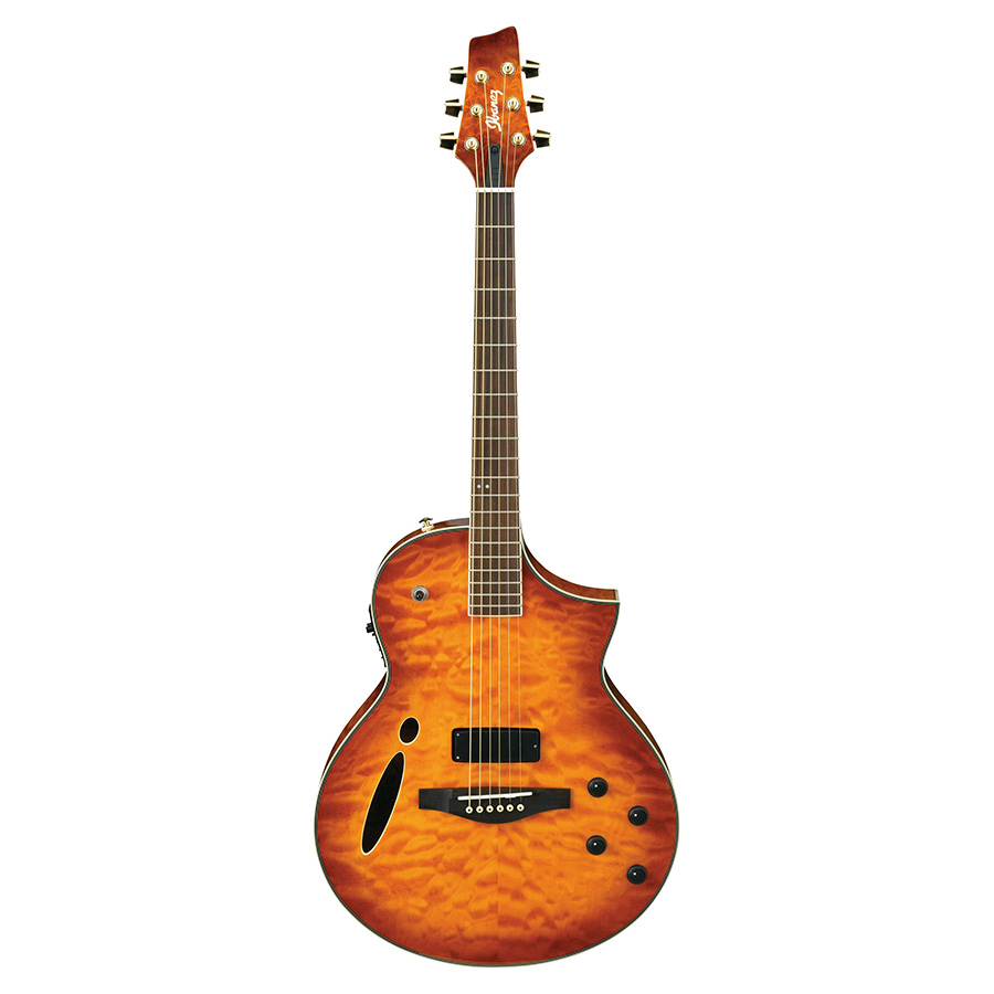 قیمت خرید فروش گیتار آکوستیک آیبانز IBANEZ MSC380QM VV