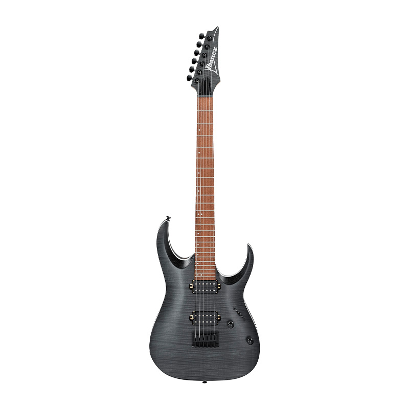 قیمت خرید فروش گیتار الکتریک آیبانز Ibanez RGA42FM TGF