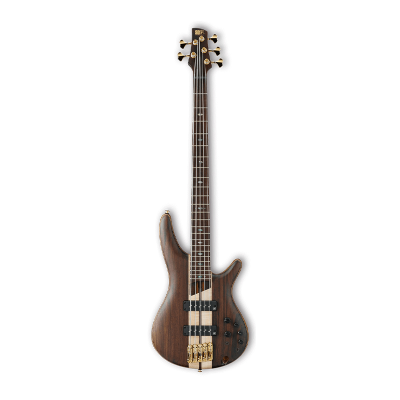 قیمت خرید فروش گیتار بیس آیبانز IBANEZ SR1805 NTF