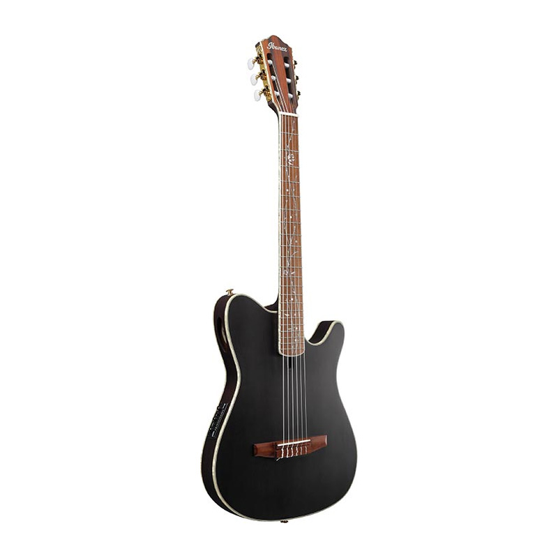 گیتار کلاسیک آیبانز Ibanez TOD10N TKF