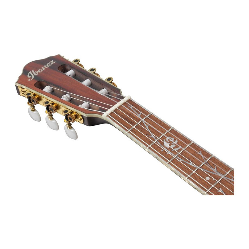 گیتار کلاسیک آیبانز Ibanez TOD10N TKF