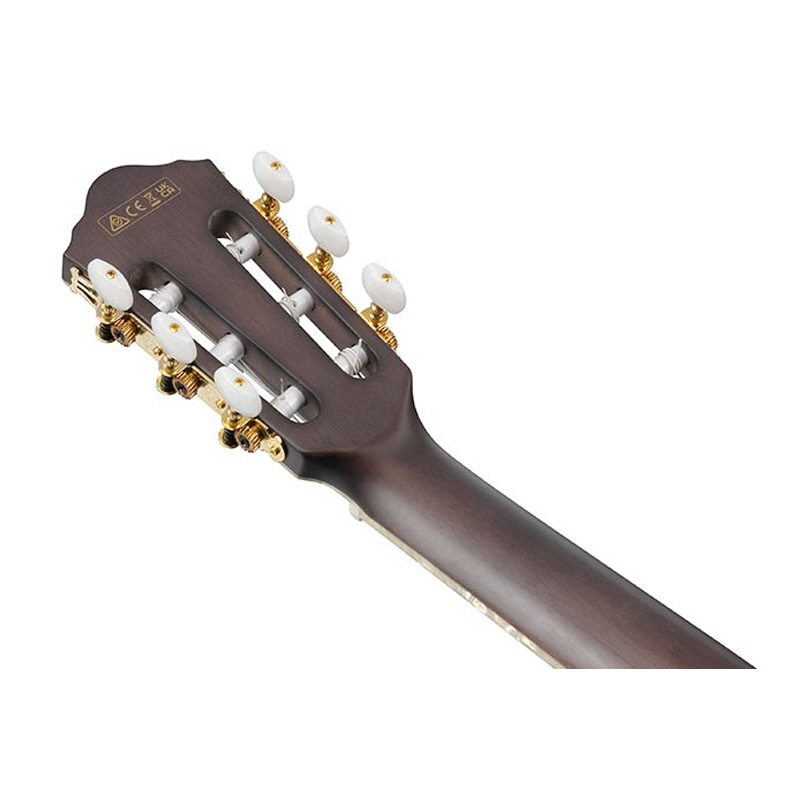 گیتار کلاسیک آیبانز Ibanez TOD10N TKF