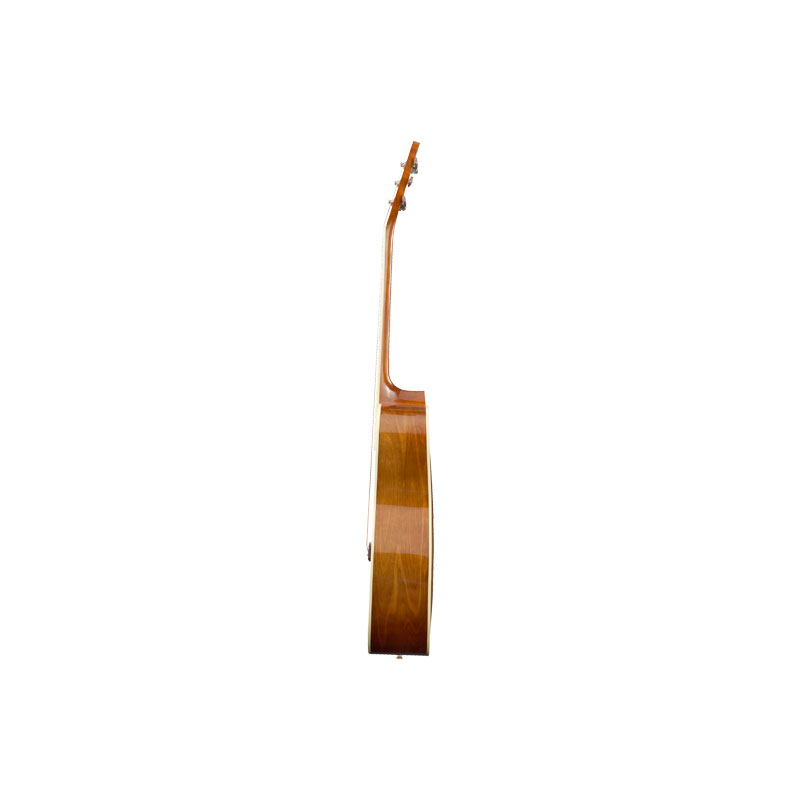 گیتار آکوستیک هافنر Hofner HAS-D01