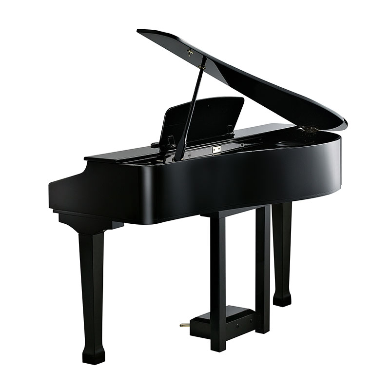 قیمت خرید فروش پیانو دیجیتال کورزویل Kurzweil KAG100