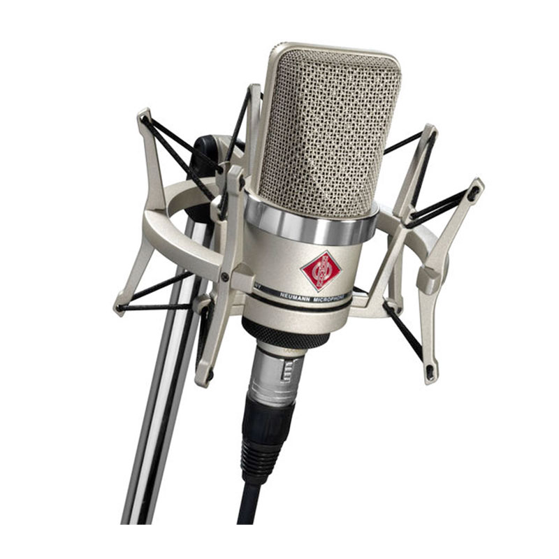 میکروفن نیومن Neumann TLM 102 With ShockMount
