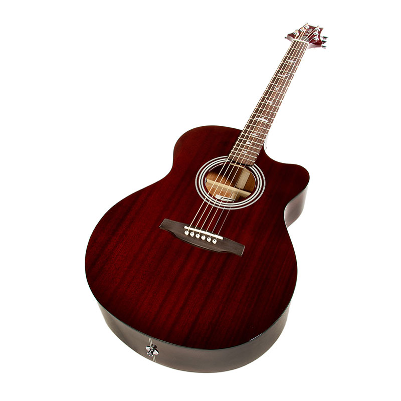 گیتار آکوستیک پی آر اس PRS SE Angelus A10E Tortoise Shell