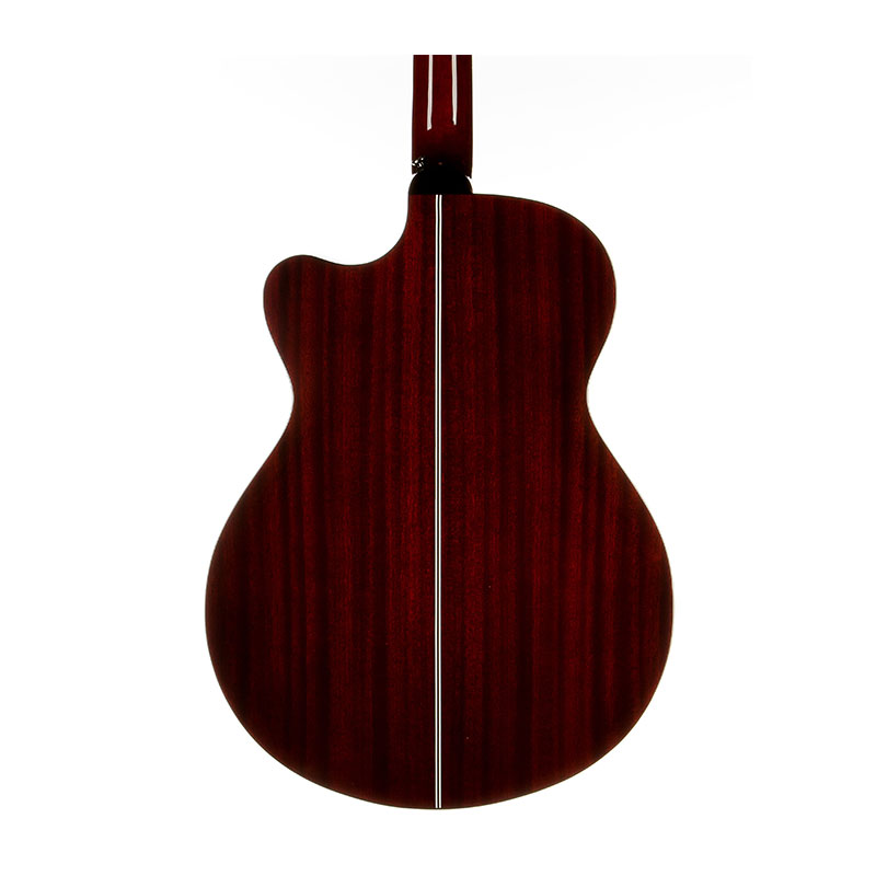 گیتار آکوستیک پی آر اس PRS SE Angelus A10E Tortoise Shell