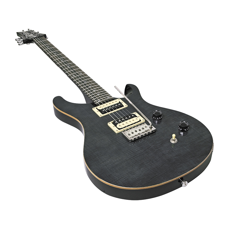 گیتار الکتریک پی آر اس PRS SE Custom 24 Black
