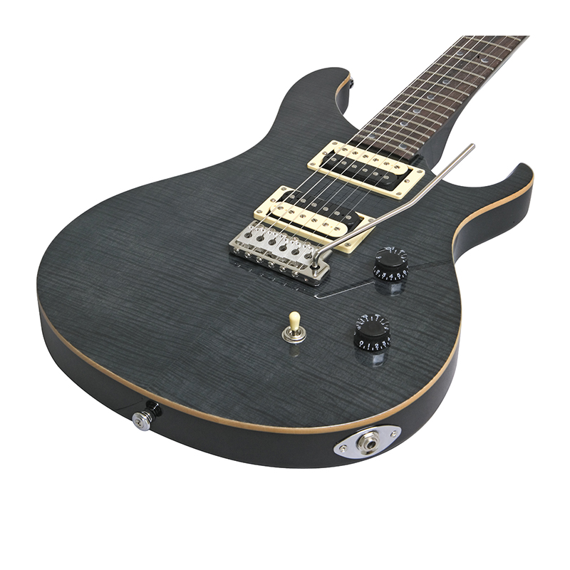 گیتار الکتریک پی آر اس PRS SE Custom 24 Black